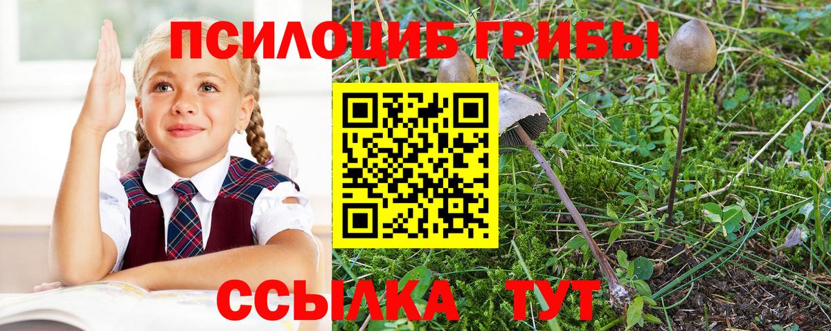 Псилоцибиновые грибы прущие грибы  Галлюциногенные грибы мухоморы  Муравленко  Вход с VPN 