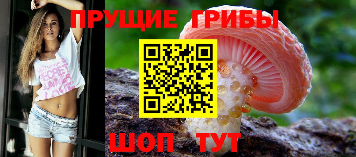 Псилоцибиновые грибы Psilocybine cubensis Муравленко